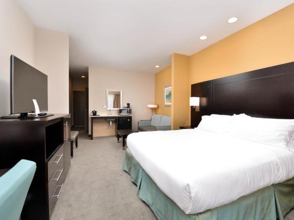 Holiday Inn Express & Suites Austin South, an IHG Hotel : photo 1 de la chambre chambre lit king-size deluxe - accessible aux personnes à mobilité réduite