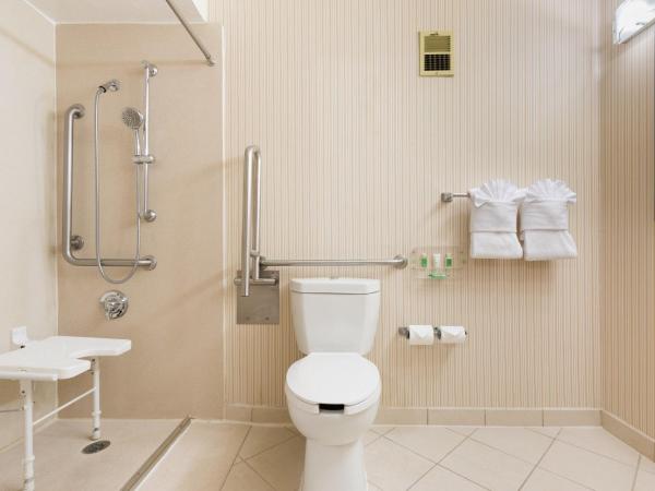 Holiday Inn Sacramento Downtown-Arena, an IHG Hotel : photo 4 de la chambre chambre lit king-size standard avec douche accessible en fauteuil roulant - adaptée aux personnes à mobilité réduite