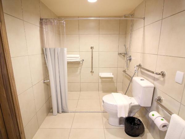 Holiday Inn Fortaleza, an IHG Hotel : photo 3 de la chambre chambre double - accessible aux personnes à mobilité réduite 