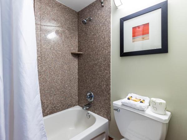 Sandcastle Resort : photo 10 de la chambre chambre lit king-size - vue sur océan - non-fumeurs