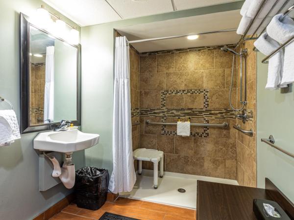 Sandcastle Resort : photo 8 de la chambre chambre lit king-size avec douche accessible en fauteuil roulant - adaptée aux personnes à mobilité réduite