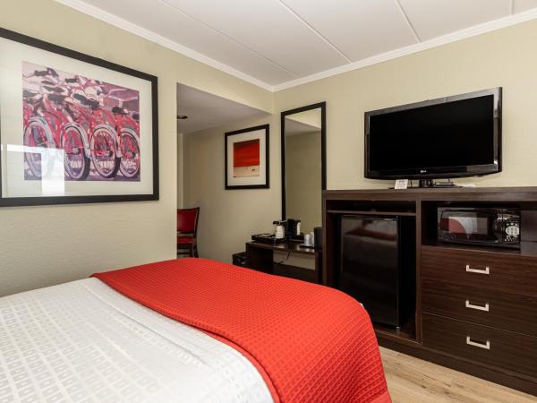 Sandcastle Resort : photo 9 de la chambre chambre avec 2 lits doubles - vue partielle sur océan