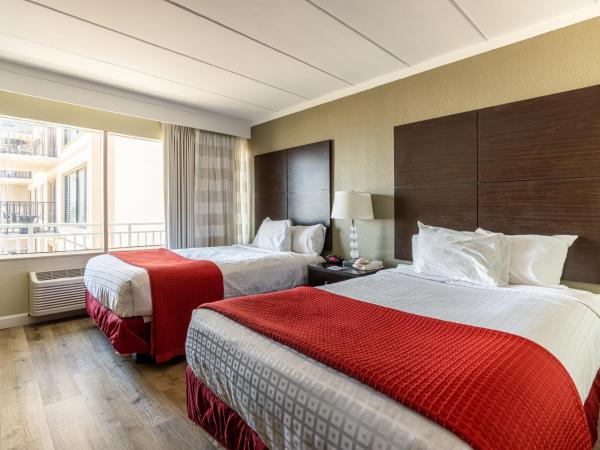 Sandcastle Resort : photo 6 de la chambre chambre avec 2 lits doubles - vue partielle sur océan
