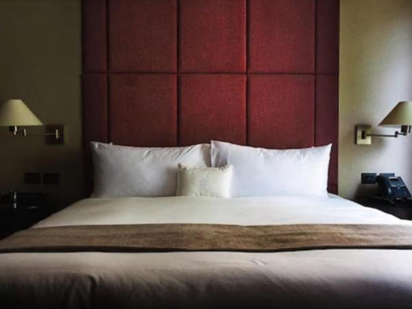 Hippodrome Hotel Condesa : photo 5 de la chambre chambre deluxe