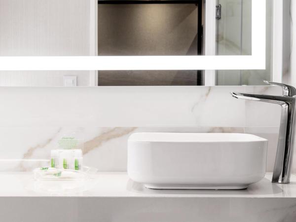 Holiday Inn Rosario, an IHG Hotel : photo 5 de la chambre chambre standard