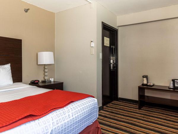 Sandcastle Resort : photo 3 de la chambre chambre lit king-size - non-fumeurs