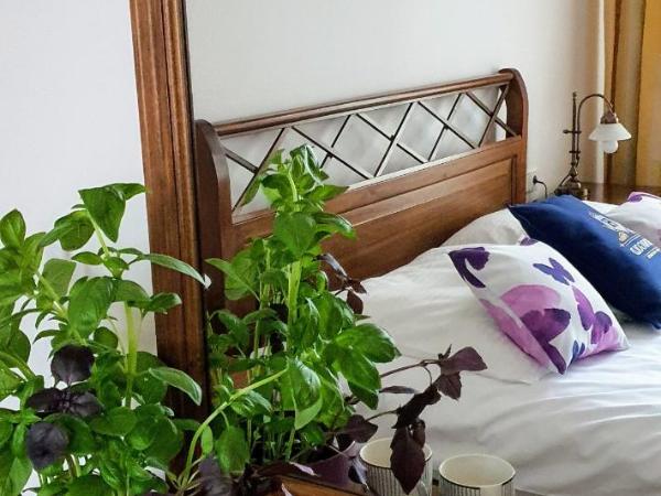 Aparthotel Hornigold