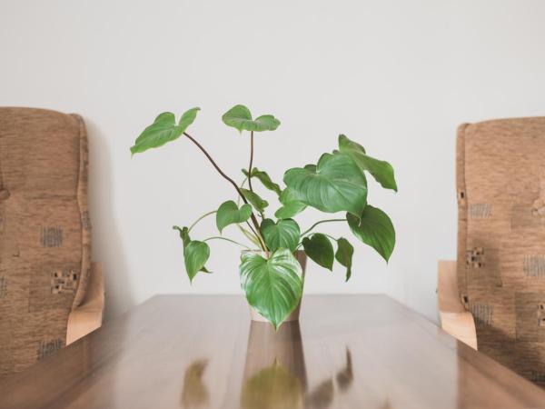 Cybulskiego Guest Rooms : photo 5 de la chambre chambre double