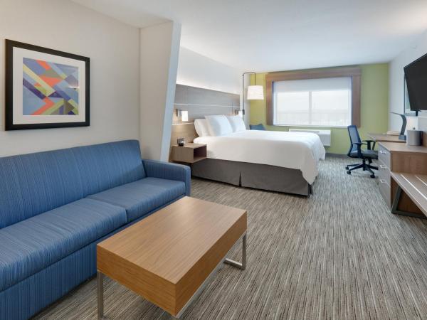 Holiday Inn Express & Suites San Antonio NW near SeaWorld, an IHG Hotel : photo 4 de la chambre suite lit king-size