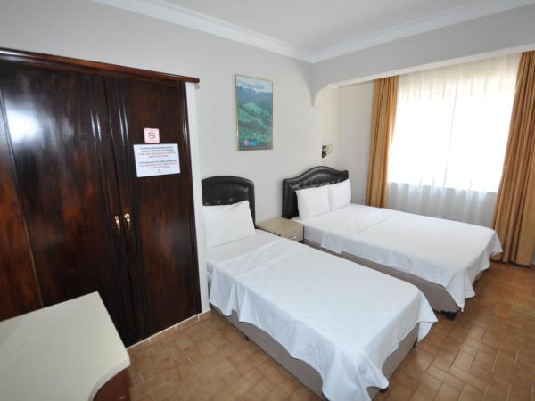 Defne & Zevkim Hotel : photo 5 de la chambre chambre lits jumeaux standard