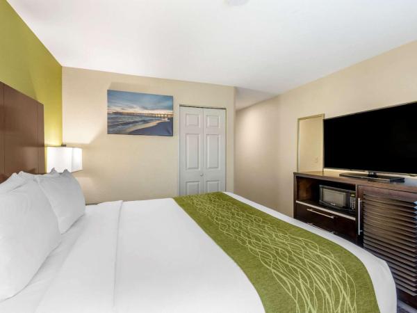 Comfort Inn San Diego Old Town : photo 3 de la chambre suite lit king-size et canapé-lit - non-fumeurs