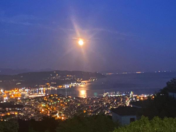 Trilogy : photo 9 de la chambre chambre double avec balcon - vue sur mer