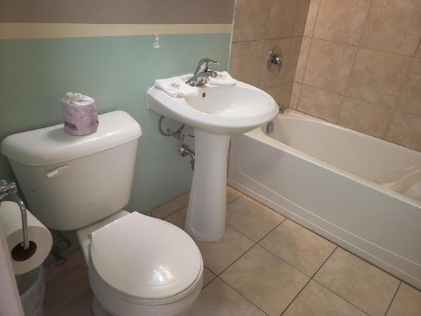 Niagara Falls Courtside Inn : photo 1 de la chambre suite avec jacuzzi