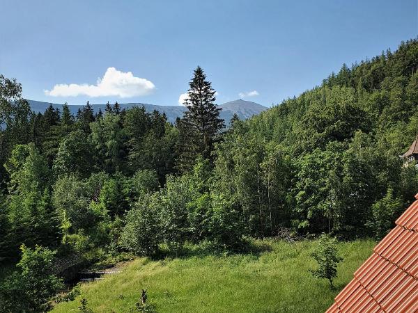 Willa OLA : photo 2 de la chambre chambre double - vue sur montagne