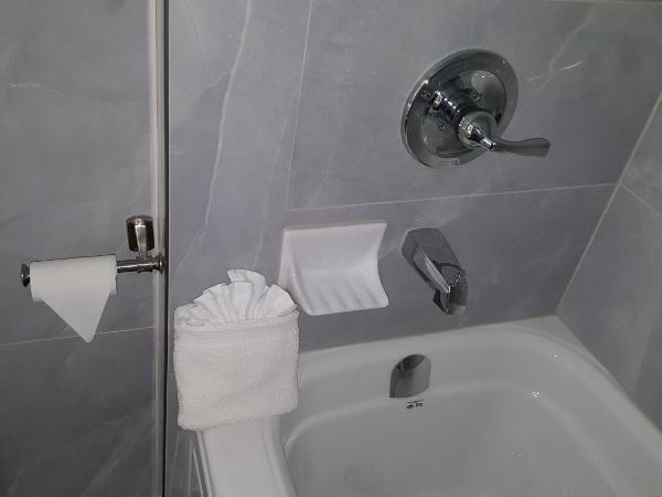 Blue Moon Motel : photo 6 de la chambre chambre avec 2 lits queen-size et kitchenette