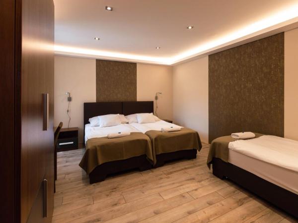 Vén Diófa De Lux Panzió : photo 2 de la chambre chambre triple