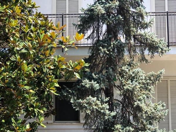 B&B Amendola : photo 1 de la chambre chambre double avec salle de bains privative