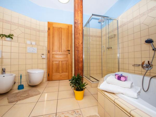 Ubytování u BÍLÉ PANÍ : photo 8 de la chambre grand appartement 2 chambres