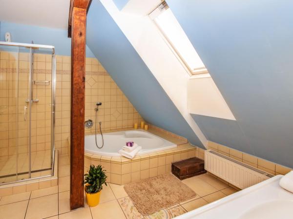 Ubytování u BÍLÉ PANÍ : photo 9 de la chambre grand appartement 2 chambres