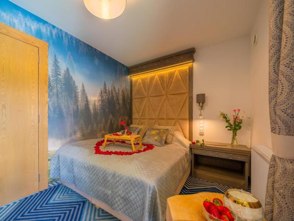 Serce Tatr Residence Zakopane - blisko Krupówek : photo 7 de la chambre chambre double - vue sur montagne