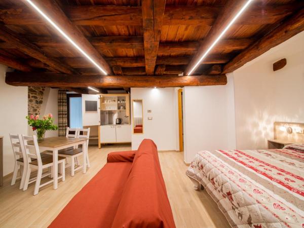 La Belle Epoque : photo 2 de la chambre appartement 1 chambre supérieur