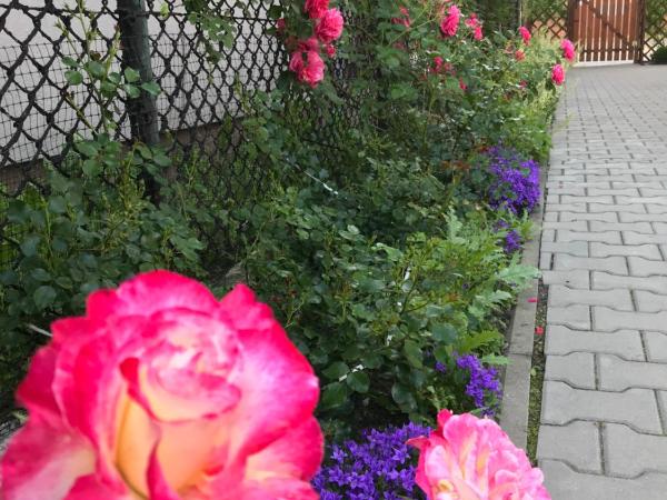 Kathia Pokoje Gościnne : photo 1 de la chambre chambre triple avec salle de bains privative