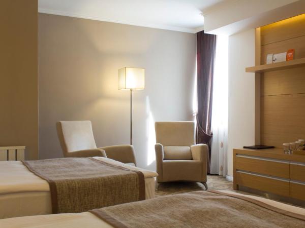 Bilkent Hotel and Conference Center : photo 2 de la chambre chambre lits jumeaux pour personnes à mobilité réduite