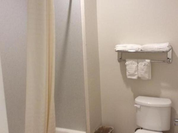 Regency Inn & Suites- NW Houston : photo 2 de la chambre chambre double deluxe