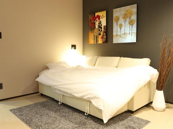 Uchi Living Stay AOZORA : photo 3 de la chambre chambre familiale avec douche 