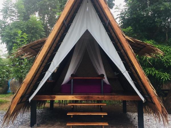 บ้านไร่ชายทุ่ง : photo 1 de la chambre bungalow - vue sur jardin