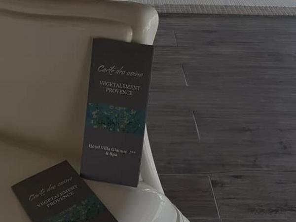 Hôtel Villa Glanum et Spa : photo 1 de la chambre offre spéciale - chambre double - spa