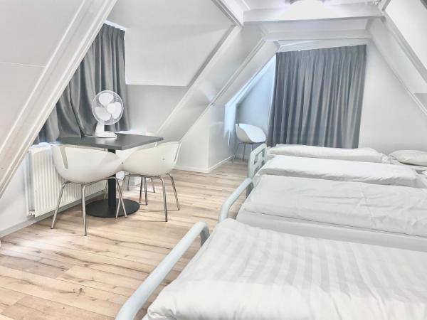 The White Tulip Hostel : photo 5 de la chambre chambre quadruple avec salle de bains commune