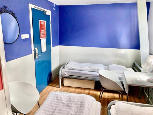 The White Tulip Hostel : photo 6 de la chambre chambre triple avec salle de bains commune