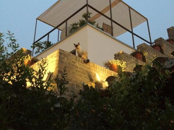 The Orchid Hotel - Old Town & Drum Tower : photo 6 de la chambre chambre yang