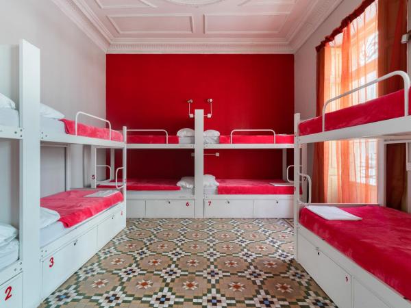 Red Nest Hostel : photo 2 de la chambre 1 lit - dortoir de 12 lits