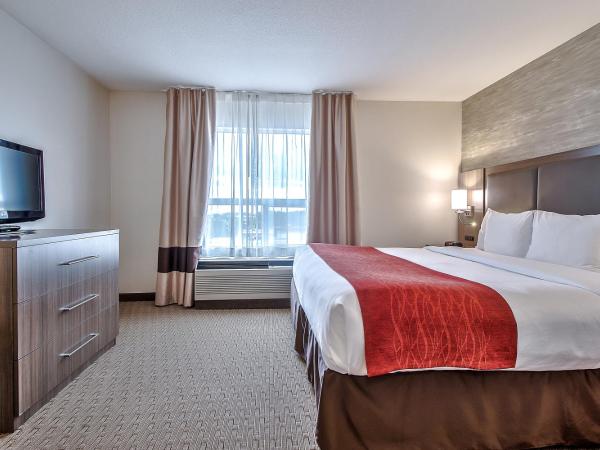 Comfort Inn & Suites South : photo 2 de la chambre suite lit king-size – non-fumeurs