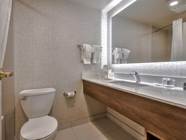 Comfort Inn & Suites South : photo 4 de la chambre suite lit king-size – non-fumeurs