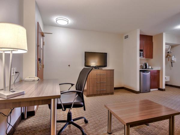 Comfort Inn & Suites South : photo 5 de la chambre suite lit king-size – non-fumeurs