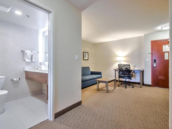 Comfort Inn & Suites South : photo 7 de la chambre suite lit king-size – non-fumeurs