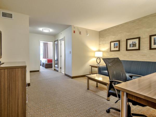 Comfort Inn & Suites South : photo 8 de la chambre suite lit king-size – non-fumeurs