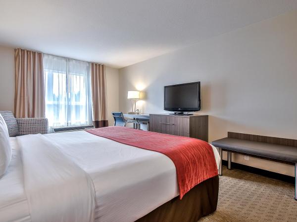 Comfort Inn & Suites South : photo 2 de la chambre chambre lit king-size - non-fumeurs