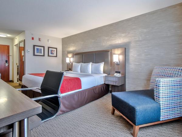 Comfort Inn & Suites South : photo 3 de la chambre chambre lit king-size - non-fumeurs