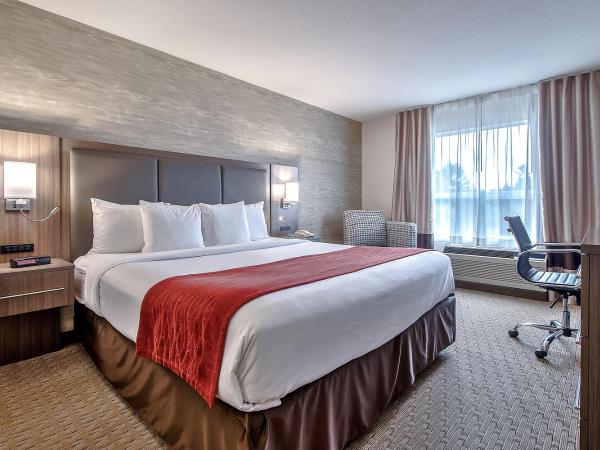 Comfort Inn & Suites South : photo 4 de la chambre chambre lit king-size - non-fumeurs