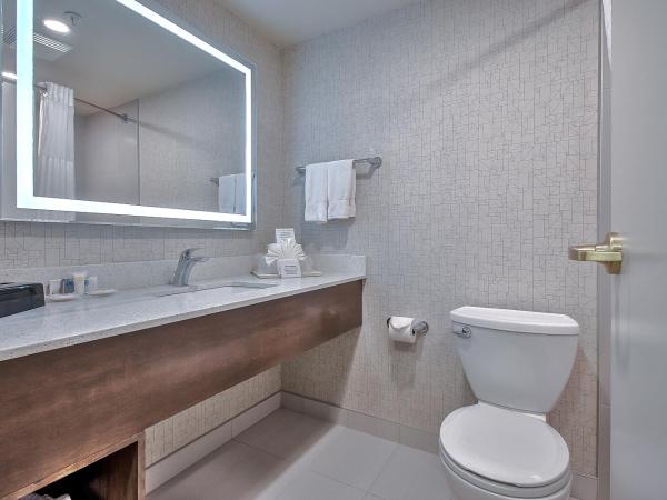 Comfort Inn & Suites South : photo 1 de la chambre suite lit king-size – non-fumeurs