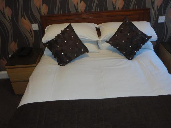 Sandyford Lodge : photo 2 de la chambre chambre double