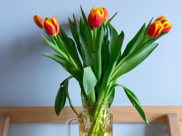 Napoli Bonita b&b : photo 3 de la chambre grande chambre double avec terrasse