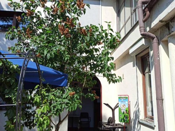 Hostel Galaxy : photo 4 de la chambre lit simple dans dortoir pour hommes