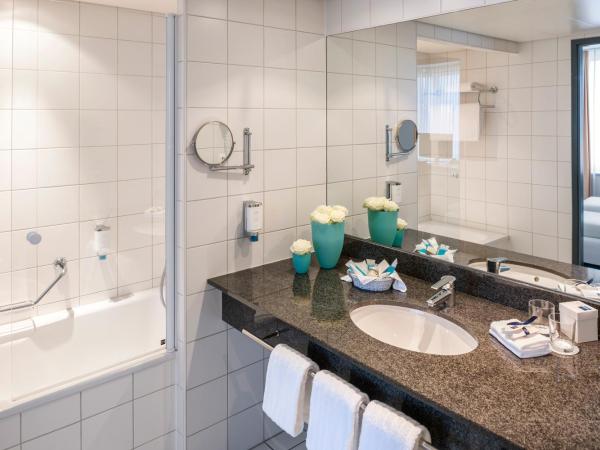 Essential by Dorint Basel City : photo 5 de la chambre appartement