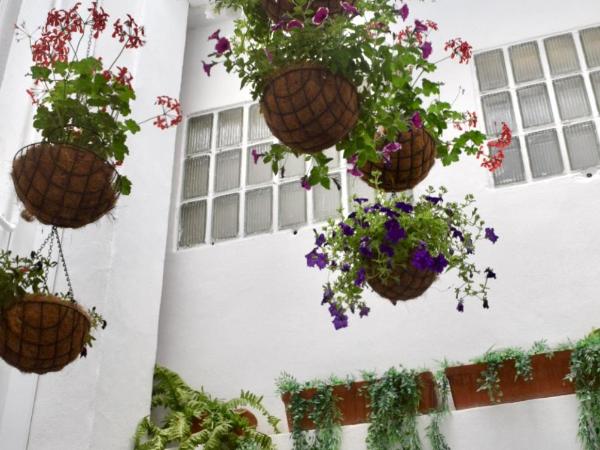 Mapoula PR Boutique : photo 9 de la chambre chambre double - vue sur patio