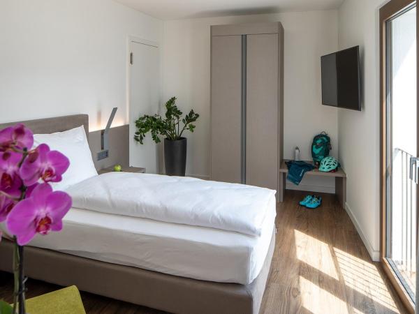 Hotel Lago Maggiore - Welcome! : photo 1 de la chambre chambre simple - vue sur montagne